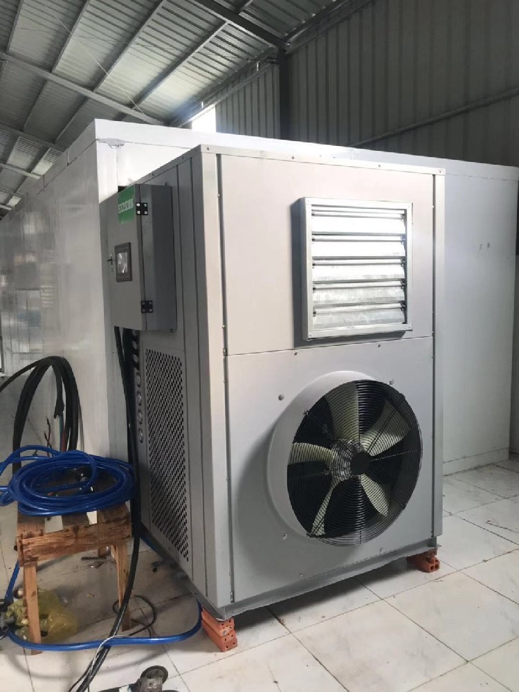 ECOZ億思?xì)W菊花烘干案列